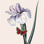 Картина «Ботанический сад», версия 48 в раме «Матильда Беж»