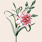 Картина «Ботанический сад», версия 55 в раме «Матильда Беж»