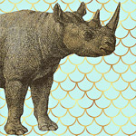 Арт-постер «Самый обыкновенный носорог»