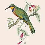 Картина «Ботанический сад», версия 28 в раме «Агата»