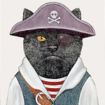 Репродукция «Мистер Пират» в картинной раме «Соланж»