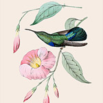Картина «Ботанический сад», версия 38 в раме «Агата»