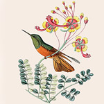 Картина «Ботанический сад», версия 52 в раме «Агата» рама раме рамы рамк фото фоторам картин репродук 