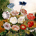 Картина «Храм флоры», версия 3, в раме рама раме рамы рамк фото фоторам картин репродук 