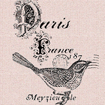 Репродукция ретро-гравюры «Bird of Paris» в раме «Амели» (античное серебро)