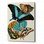 Картина «Бабочки мира», версия 13 (холст, галерейная натяжка)