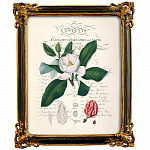 Картина «Порхающий цветок», версия 2, в раме «Селин»