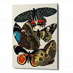Картина «Бабочки мира», версия 16 (холст, галерейная натяжка)