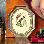 Картина «Жемчужины природы», версия 18, в раме «Эдита» рама раме рамы рамк фото фоторам картин репродук 