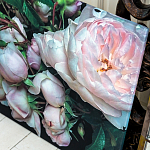 Картина «Cloud Rose» (холст, галерейная натяжка)