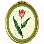 Картина «Эпоха тюльпанов», версия 10 в раме «Бетти» рама раме рамы рамк фото фоторам картин репродук