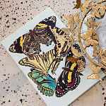 Картина «Бабочки мира», версия 3 (холст, галерейная натяжка)