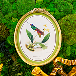 Картина «Жемчужины природы», версия 6, в раме «Бетти» рама раме рамы рамк фото фоторам картин репродук