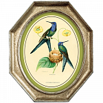 Картина «Жемчужины природы», версия 32, в раме «Эдита»