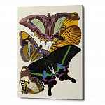 Картина «Бабочки мира», версия 15 (холст, галерейная натяжка)