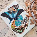 Картина «Бабочки мира», версия 8 (холст, галерейная натяжка)
