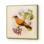 Картина на холсте «Птицы Солнца» 60×60, холст, галерейная натяжка (версия 8)