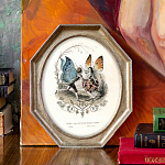 Картина «Танец двух бабочек» в раме «Эдита» рама раме рамы рамк фото фоторам картин репродук 