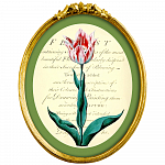 Картина «Эпоха тюльпанов», версия 1 в раме «Бетти»