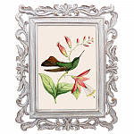 Картина «Ботанический сад», версия 35 в раме «Агата» рама раме рамы рамк фото фоторам картин репродук 