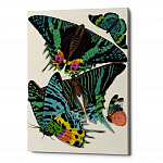 Картина «Бабочки мира», версия 11 (холст, галерейная натяжка)