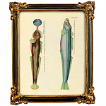 Картина «Фантастика подводного мира» в раме «Селин» (том 2, версия 42)