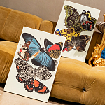 Картина «Бабочки мира», версия 5 (холст, галерейная натяжка)