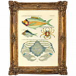 Картина «Фантастика подводного мира» в раме «Анастаси» (том 1, версия 48)