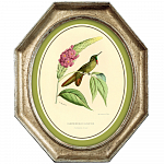Картина «Жемчужины природы», версия 18, в раме «Эдита» рама раме рамы рамк фото фоторам картин репродук 