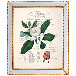 Картина «Порхающий цветок», версия 2, в раме «Аксель»