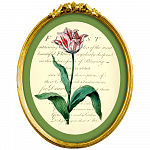 Картина «Эпоха тюльпанов», версия 5 в раме «Бетти»