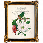Картина «Порхающий цветок», версия 3, в раме «Селин» рама раме рамы рамк фото фоторам картин репродук