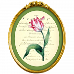 Картина «Эпоха тюльпанов», версия 12 в раме «Бетти» рама раме рамы рамк фото фоторам картин репродук