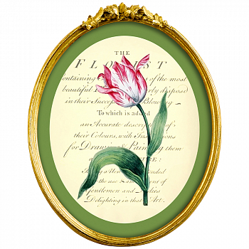 Картина «Эпоха тюльпанов», версия 12 в раме «Бетти»