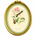 Картина «Жемчужины природы», версия 28, в раме «Бетти» рама раме рамы рамк фото фоторам картин репродук
