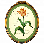 Картина «Век тюльпанов», версия 4 в раме «Тиффани»