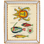 Картина «Фантастика подводного мира» в раме «Аксель» L (том 2, версия 46)