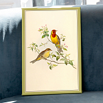 Картина на холсте «Птицы Солнца» 30×45, холст, галерейная натяжка (версия 12)