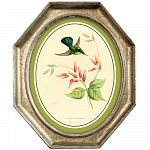 Картина «Жемчужины природы», версия 13, в раме «Эдита» рама раме рамы рамк фото фоторам картин репродук 