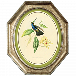 Картина «Жемчужины природы», версия 2, в раме «Эдита» рама раме рамы рамк фото фоторам картин репродук 