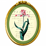 Картина «Эпоха тюльпанов», версия 9 в раме «Бетти»