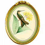 Картина «Жемчужины природы», версия 1, в раме «Бетти» рама раме рамы рамк фото фоторам картин репродук