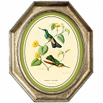 Картина «Жемчужины природы», версия 25, в раме «Эдита»