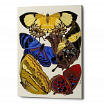 Картина «Бабочки мира», версия 14 (холст, галерейная натяжка)