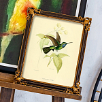 Картина «Жемчужины природы», версия 4, в раме «Селин» рама раме рамы рамк фото фоторам картин репродук