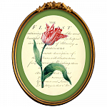 Картина «Век тюльпанов», версия 8 в раме «Тиффани» рама раме рамы рамк фото фоторам картин репродук