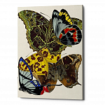 Картина «Бабочки мира», версия 7 (холст, галерейная натяжка)