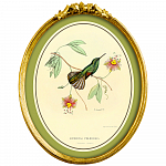 Картина «Жемчужины природы», версия 22, в раме «Бетти» рама раме рамы рамк фото фоторам картин репродук
