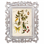 Картина «Ботанический сад», версия 84 в раме «Агата» рама раме рамы рамк фото фоторам картин репродук 