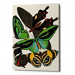 Картина «Бабочки мира», версия 2 (холст, галерейная натяжка)